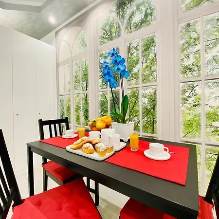 Bed and breakfast Olympic