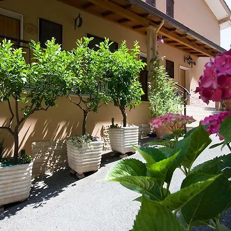 Bed and breakfast Olympic Roma