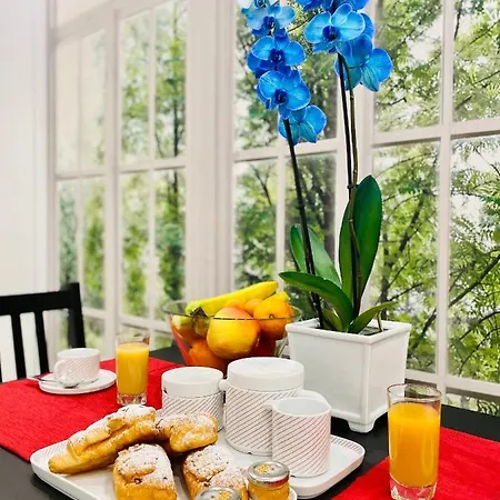 Bed and Breakfast Olympic 4*