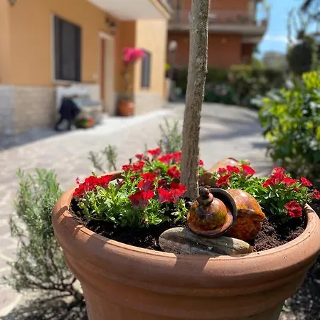 Olympic Bed & Breakfast Rome