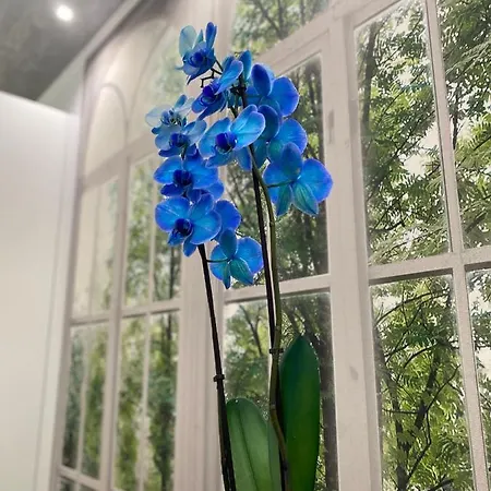 Olympic Bed & Breakfast